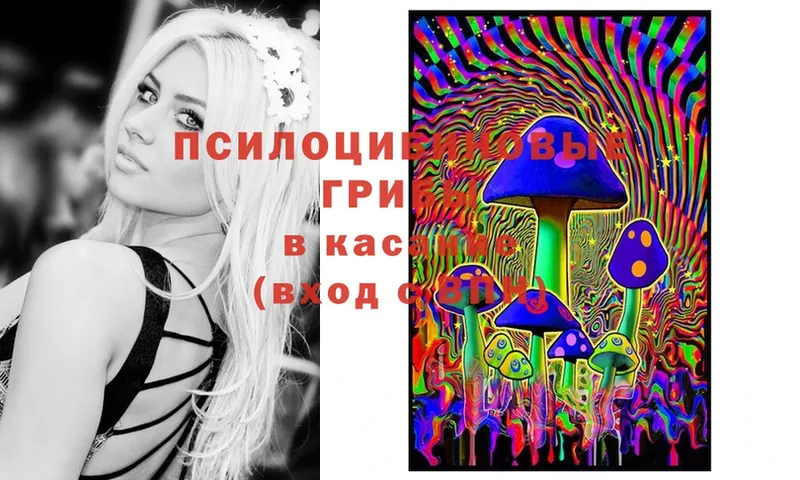 ссылка на мегу как зайти  Мензелинск  Псилоцибиновые грибы Psilocybine cubensis 